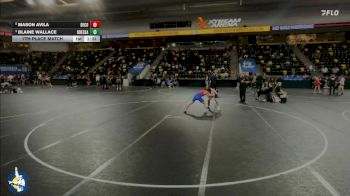 132 lbs 7th Place Match - Mason Avila, Decorah vs Blaine Wallace, Odessa