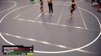 100 lbs Quarterfinals (8 Team) - Jaxton Hermann, New Prague vs Reid Carter, Flat Earth