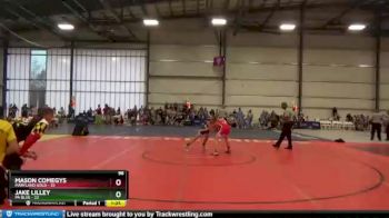 96 lbs Round 1 - Jake Lilley, PA Blue vs Mason Comegys, Maryland GOLD