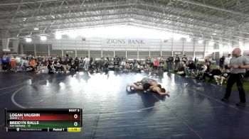 119 lbs Round 3 (4 Team) - Logan Vaughn, Idaho 2 vs Breidyn Ralls, Mat Demons
