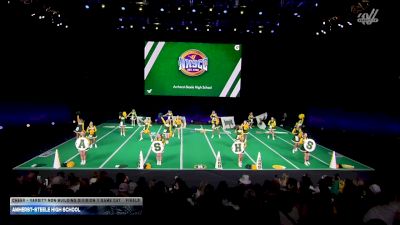 Amherst-Steele High School [2026 Cheer - Varsity Non Building Division II Game Day Finals] 2026 UCA National High School Cheerleading Championship DII