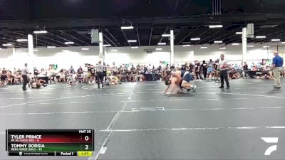 220 lbs Round 1 (4 Team) - Tommy Borgia, Iron Horse Gold vs Tyler Prince, PA Alliance Red