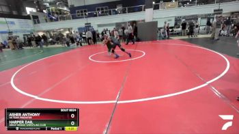 111 lbs Cons. Round 1 - Harper Dail, Great Bridge Wrestling Club vs Asher Anthony, Va Team Predator