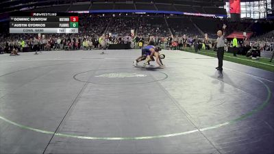 D2-138 lbs Cons. Semi - Austin Gyorkos, Plainwell HS vs Dominic Gumtow, Warren Woods-Tower HS
