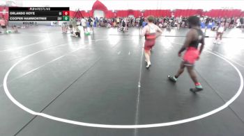 192-196 lbs Round 3 - Cooper Hammontree, Savannah-Maysville vs Orlando Hoye, Glenbard East