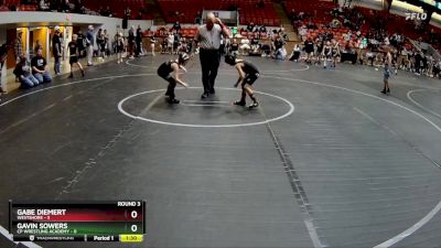 52 lbs Round 3 (8 Team) - Gavin Sowers, CP Wrestling Academy vs Gabe Diemert, Westshore