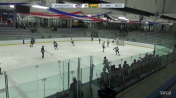 Replay: Home - 2025 MJDP vs CHI Cougars | Jan 31 @ 3 PM