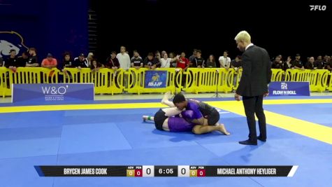 Michael Anthony Heyliger vs Brycen James Cook 2025 Pan IBJJF Jiu-Jitsu No-Gi Championship