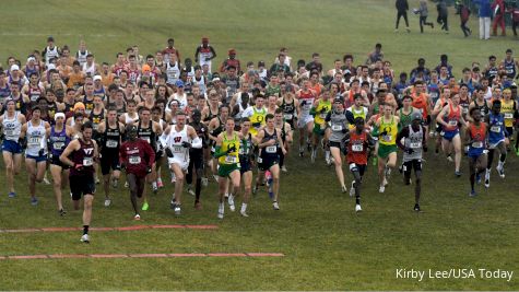 UConn To Cut Men's Cross Country