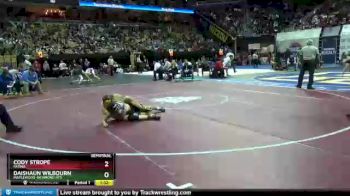 113 Class 1 lbs Semifinal - Cody Strope, Fatima vs Daishaun Wilbourn, Maplewood-Richmond Hts.