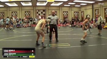 90 lbs Round 3 (6 Team) - Cole Rebels, M2TCNJ vs Cole Desiano, Revival Gray