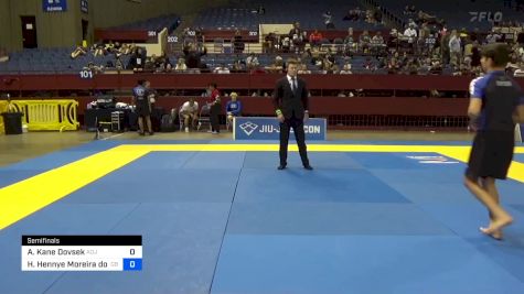 Alex Kane Dovsek vs Hawann Hennye Moreira Dos Santos 2024 Pan IBJJF Jiu-Jitsu No-Gi Championship