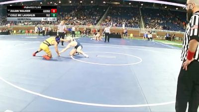 D3-165 lbs Semifinal - Julian Walker, Algonac vs Cole Mc Laughlin, Yale