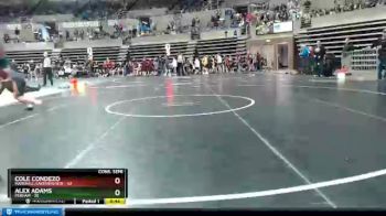 115 lbs Semis & 1st Wrestleback (8 Team) - Cole Condezo, Marshall/Lakeview/RTR vs Alex Adams, Perham
