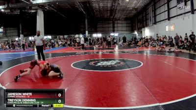 80 lbs Semifinals (4 Team) - Treyson Denning, CAROLINA ELITE WRESTLING CLUB vs Jameson White, COMBAT ATHLETICS