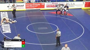 132 lbs Semifinal - Conner Harer, Muncy vs Luke Sugalski, Colonial