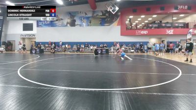 132 lbs Dominic Hernandez, Pennsylvania Red vs Lincoln Straight, Virginia