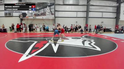74 kg Champ. Round 2 - Michael Merritt, Grand Valley State vs Logan Swaw, Illinois RTC