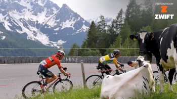 Replay: 2019 Tour de Suisse Stage 7