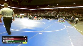 105 Class 1 lbs Champ. Round 1 - Ellysia Wasson, McDonald County vs Norah Watkins, Rock Port