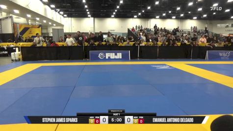 Emanuel Antonio Delgado vs Stephen James Sparks 2025 World IBJJF Jiu-Jitsu No-Gi Championship