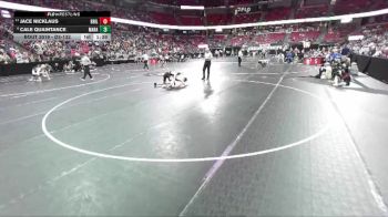 D3-132 lbs Champ. Round 1 - Jace Nicklaus, Brillion vs Cale Quaintance, Marathon