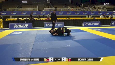 Zachary A. Cannon vs Dante Steven Rosenberg 2026 Pan Jiu Jitsu IBJJF Championship