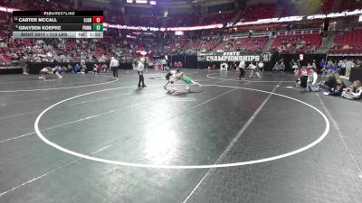 113 lbs Champ. Rd Of 16 - Carter McCall, Elkhart Lk.-Glen/Howards G vs Graysen Koepke, Port Washington