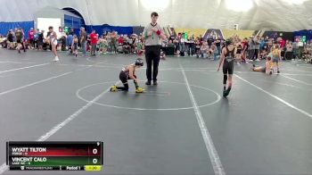 52 lbs Round 4 (8 Team) - Vincent Calo, Lake WC vs Wyatt Tilton, FORGE