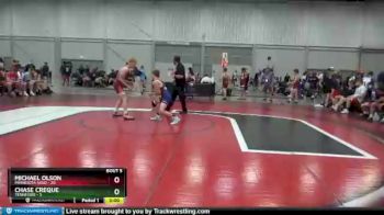 106 lbs Semis & 1st Wrestleback (8 Team) - Michael Olson, Minnesota Gold vs Chase Creque, Tennessee