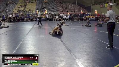 133 lbs Finals (2 Team) - Tanner Higa, Dubuque vs Dominik Mallinder, Wisconsin-Whitewater