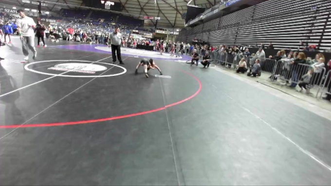 49 lbs Semifinal - Tate Eaton, Montesano Mad Dogs Wrestling vs Camila ...