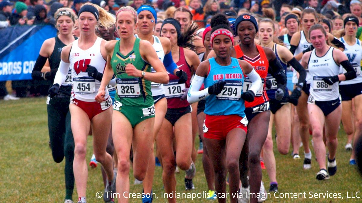 NCAA Cancels DI Cross Country Championships This Fall