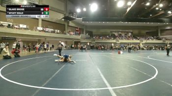 114 Championship Bracket Champ. Round 3 - Blake Brose, Watertown-Mayer vs Wyatt Wald, Cambridge-Isanti