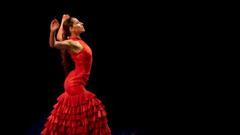Flamenco Is In Danger
