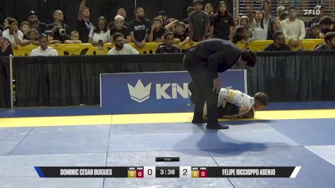 Felipe Riccioppo Asenjo vs Dominic Cesar Buigues 2025 Pan Kids Jiu-Jitsu IBJJF Championship