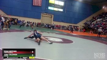 3 - 144 lbs Quarterfinal - Cody Salomon, Skyline vs Evan Mefford, Christiansburg