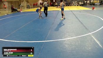 125 lbs Semis & 1st Wrestleback (8 Team) - Ben Rodriguez, Brainerd vs Gabe Robb, Owatonna