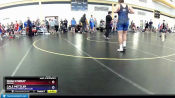 250 lbs Quarterfinal - Noah Forray, Indiana vs Cale Metzler, Noblesville Wrestling Club