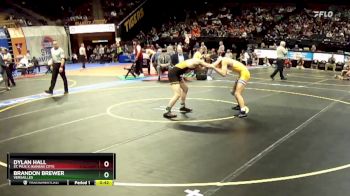 113 Class 1 lbs 3rd Place Match - Dylan Hall, St. Pius X (Kansas City) vs Brandon Brewer, Versailles