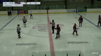 Replay: Home - 2024 Cougars U18 AAA vs EastmanU18 AAA | Jan 27 @ 7 PM