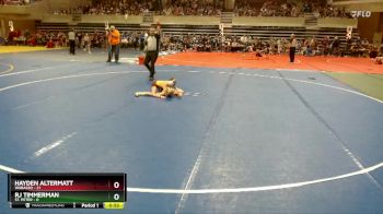65 lbs Finals (8 Team) - Hayden Altermatt, Wabasso vs RJ Timmerman, St. Peter