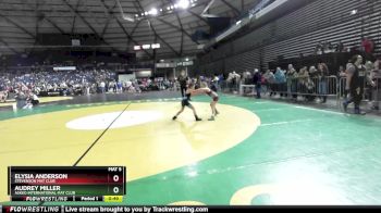 67 lbs Quarterfinal - Audrey Miller, Askeo International Mat Club vs Elysia Anderson, Stevenson Mat Club