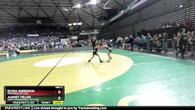 67 lbs Quarterfinal - Audrey Miller, Askeo International Mat Club vs Elysia Anderson, Stevenson Mat Club