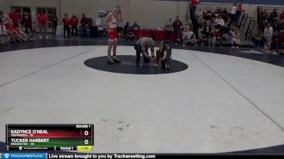 115 lbs Round 1 (4 Team) - Tucker Harbert, Dragon WC vs Kadynce O`Neal, Mishawaka