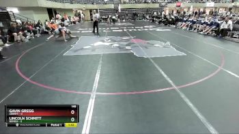 145 lbs Finals (8 Team) - Gavin Gregg, Liberty vs Lincoln Schmitt, Bemidji