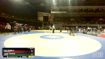 105 lbs Quarterfinal - Cali Barela, Wheatland vs Lexie Capote, Pitman