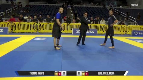 Thomas Amato vs Luis Jose B. Moya 2025 Pan IBJJF Jiu-Jitsu No-Gi Championship