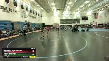 106 lbs Round 1 (3 Team) - Micheal Stromberg, Rock Springs vs Trey Tatham, Mead