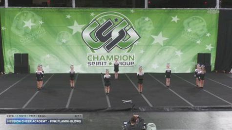 Hession Cheer Academy - Pink Flamin-GLOWS [2025 L1.1 Youth - PREP - Small Day 1] 2025 CSG Indy Challenge